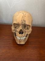 Houten menselijke schedel Schedel - - - 11.5 cm - 8.5 cm -