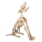 Halloween Decoratie Skelet Huilende Wolf Met Licht Geluid En, Nieuw