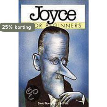 JAMES JOYCE VOOR BEGINNERS 9789038907901 D. Norris, Verzenden, D. Norris