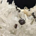 SPHALERITE, Kristallen op MELKACHTIGE KWARTSmantel, Cavnic, Verzamelen, Mineralen en Fossielen