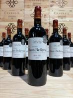 2017 Château Haut-Bellevue - Haut-Médoc - 12 Flessen (0.75, Verzamelen, Wijnen, Nieuw