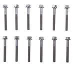 Cylinder head bolt set Ram 8.3 V10 SRT10, Ophalen of Verzenden