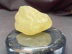 Verre libyque Rugueuse - Hauteur : 4 cm - Largeur : 3.5 cm -