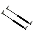 Set van 2 gasveren voor de straalcabinedeur van straalcabine, Doe-het-zelf en Bouw, Ophalen of Verzenden, Nieuw