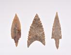 3 pointes de flèches néolithiques silex Tête de flèche (Sans