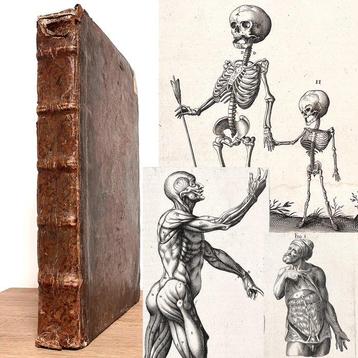 A. Laurentio - Historia Anatomica Humani Corporis - 1600