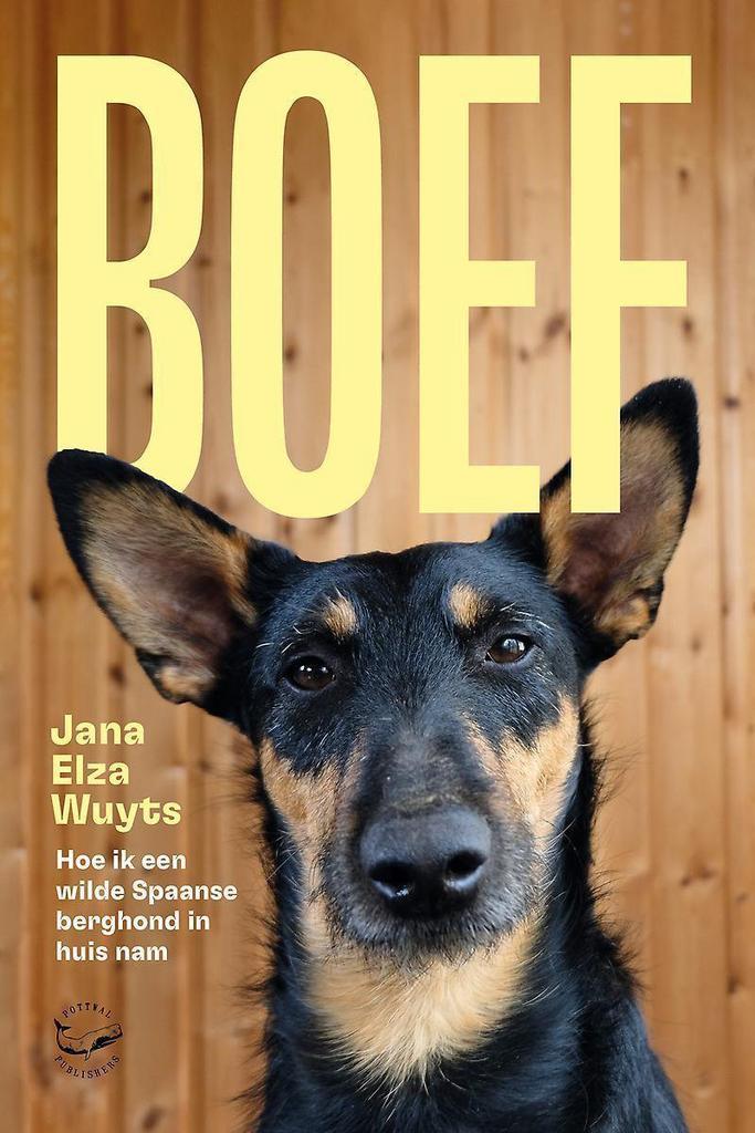 Boef 9789464335996 Jana Elza Wuyts, Boeken, Literatuur, Zo goed als nieuw, Verzenden