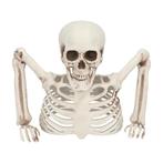Halloween Skelet 20cm, Verzenden