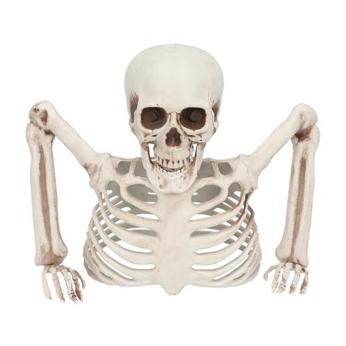 Halloween Skelet 20cm, Hobby & Loisirs créatifs, Articles de fête, Envoi