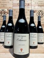 2020 Cave de Tain l’Hermitage Saint-Joseph Les vignes de, Collections