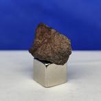 ANGRITE MÉTÉORITE - La plus ancienne pierre plutonique du