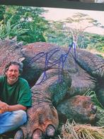 Jurassic Park, Steven Spielberg (Director) - Signed in, Nieuw