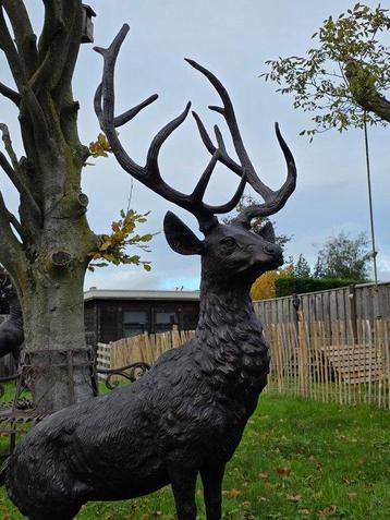 Beeld, Bronze: XL Deer - 161.5 cm - Brons - 2025 beschikbaar voor biedingen