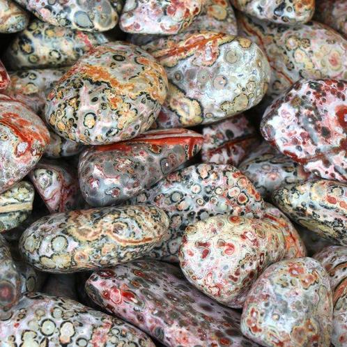 Geen reservering - Draakjaspis - Geronde stenen - AAA-kavel-, Verzamelen, Mineralen en Fossielen