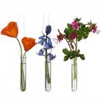 Reageerbuisjes glas 2 gaatjes 10 cm Ø1.5 cm set 12 stuks