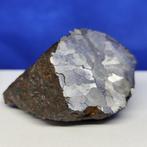 -Nice Endcut- METEORITE Campo del Cielo (Argentinië, 4500