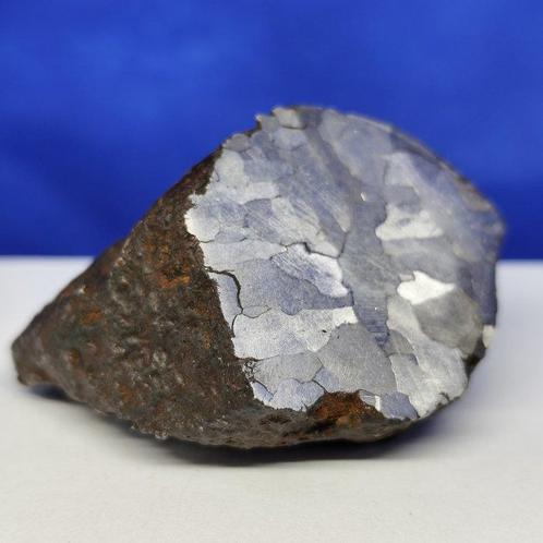 -Nice Endcut- METEORITE Campo del Cielo (Argentinië, 4500, Verzamelen, Mineralen en Fossielen
