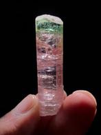 Tourmaline) Kristal - Hoogte: 4.9 cm - Breedte: 1.2 cm- 16 g