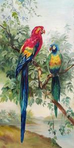 A. Baes (XIX-XX) - Parrots, Antiek en Kunst, Kunst | Schilderijen | Klassiek
