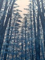 Tree scene 128 - SOLD OUT BY ARTIST - LARGE WORK ! - NO