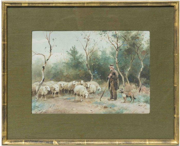 Adrianus Johannes Groenewegen (1874 1963) - Schapen op de, Antiek en Kunst, Kunst | Schilderijen | Klassiek