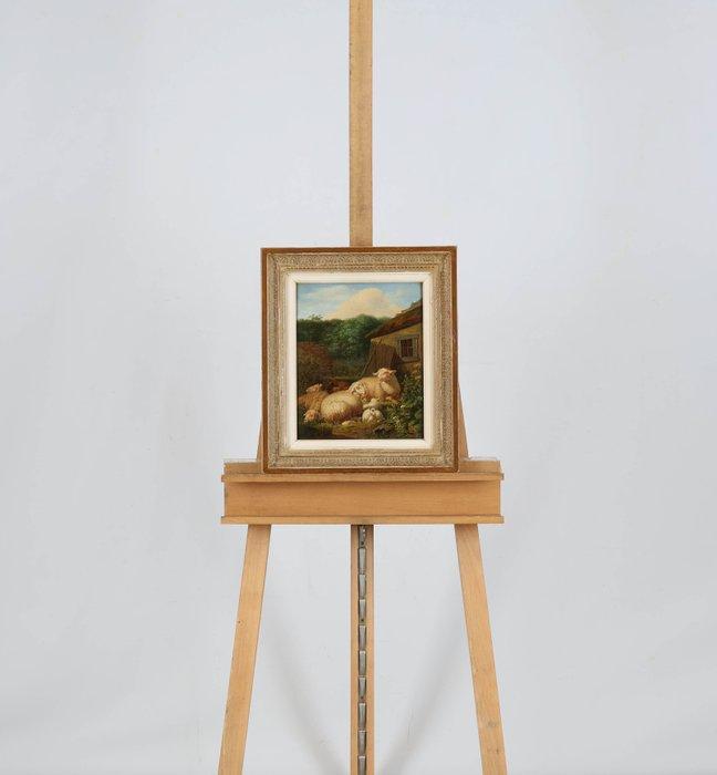 Augustus Knip (1819-1859) - Schapen, Antiek en Kunst, Kunst | Schilderijen | Klassiek