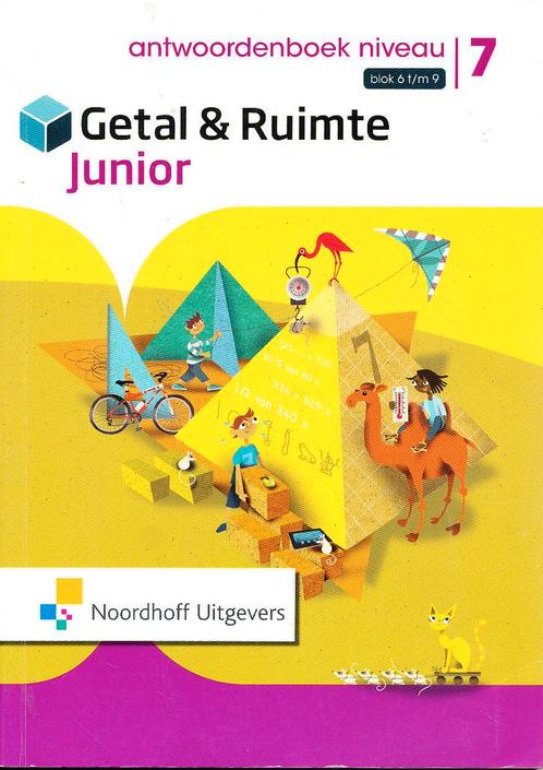 Getal en Ruimte Junior Antwoorden Leerwerkboek NIVEAU blok 6, Livres, Livres scolaires, Envoi
