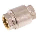 G 3/4 Clapet Anti Retour Nickelé Laiton 20 Bar (290 Psi), Verzenden, Nieuw