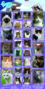 Katten Stickers, Hobby en Vrije tijd, Verzenden, Nieuw