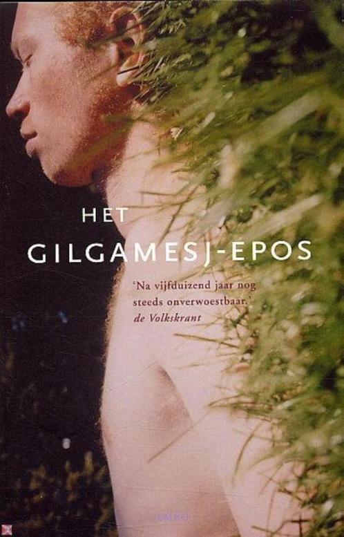 Het Gilgamesj-epos / Ambo-klassiek 9789026319341, Boeken, Romans, Gelezen, Verzenden