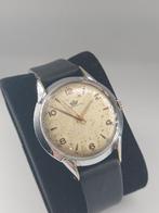 Marvin - Dress Watch