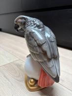 Hutschenreuther - Beeld, Grijsriodstaart papegaai - 22 cm -
