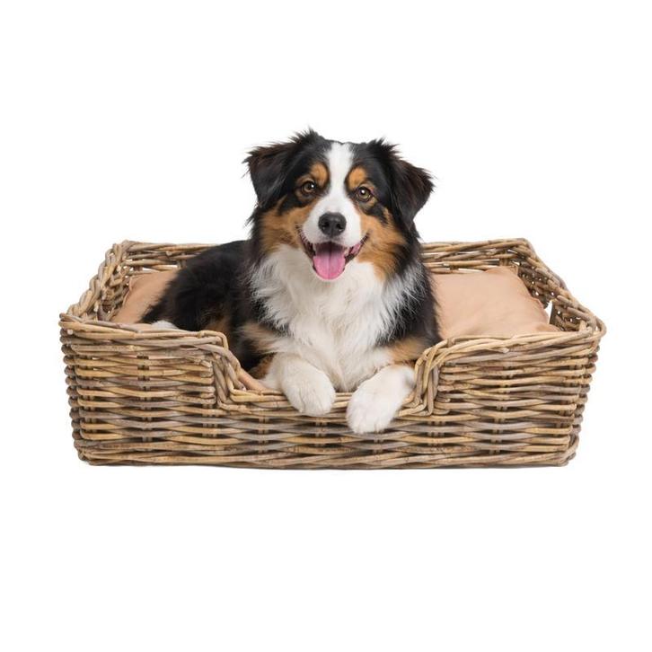 Hondenmand met kussen - 68 x 50 x 20 cm, Dieren en Toebehoren, Honden-accessoires, Nieuw, Verzenden