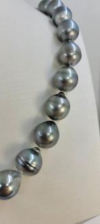 Collier Perles de Tahiti Rainbow Peacock certifiées ALGT, Handtassen en Accessoires, Nieuw