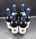 2021 Campo al Mare - Bolgheri DOC - 6 Bouteilles (0,75 L), Nieuw