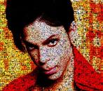 David Law - Crypto Prince XI