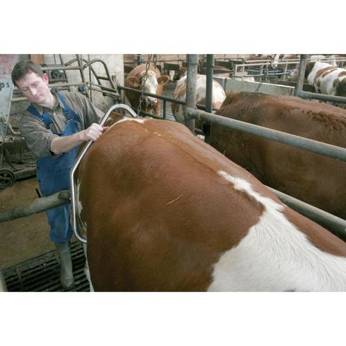 Trapkluister rvs nieuw, in kartonnen doos - kerbl, Dieren en Toebehoren, Stalling en Weidegang