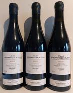 2007 Mas Martinet, Camí Pesseroles - Priorat DOC - 3 Flessen, Verzamelen, Nieuw