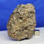 XL GABBRO Lunar Meteoriet (Smelt Breccia) ADRAR 013