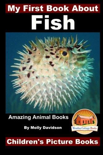 My First Book About Fish - Amazing Animal Books - Childrens, Livres, Livres Autre, Envoi