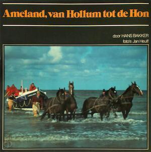 Ameland, van Hollum tot de Hon, Livres, Langue | Langues Autre, Envoi