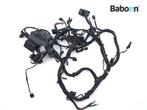 Kabelboom BMW HP 4 (HP4 K42) (8553927), Motoren, Gebruikt