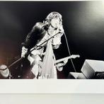 The Rolling Stones - Mick Jagger 1976 - Fine Art, Cd's en Dvd's, Nieuw in verpakking