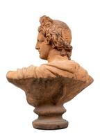 sculptuur, Busto di Apollo - 72 cm - Aardewerk, Antiek en Kunst