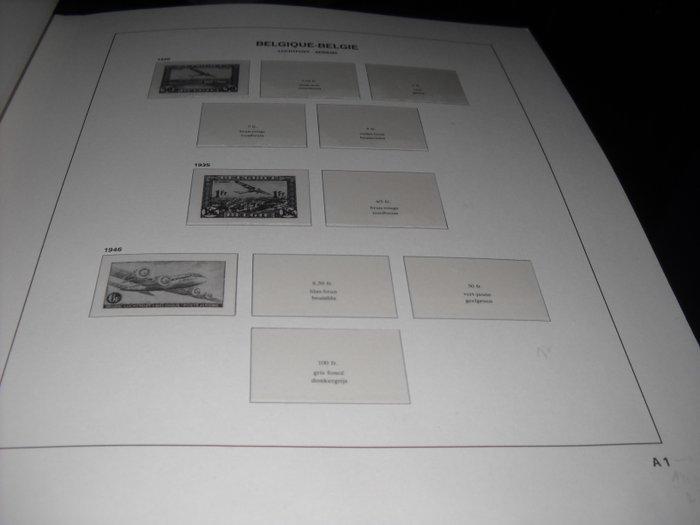 België - album Davo Luxe ouatiné S Spoorweg en annex 1879, Postzegels en Munten, Postzegels | Europa | België