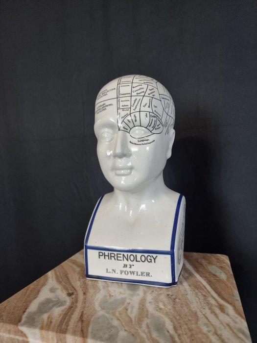 Beeld, Phrenology Head 28.5cm - 28.5 cm - Porselein, Antiek en Kunst, Kunst | Designobjecten