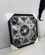 Fabio Accorrà - Elegance view