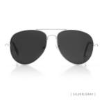 Pilotenbril Zilver, Kleding | Dames, Verzenden, Nieuw