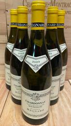 2023 Régnard Bourgogne Chardonnay - Bourgogne - 6 Flessen, Nieuw