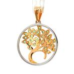 Sans prix de réserve - Pendentif - 14 carats Or jaune, Or